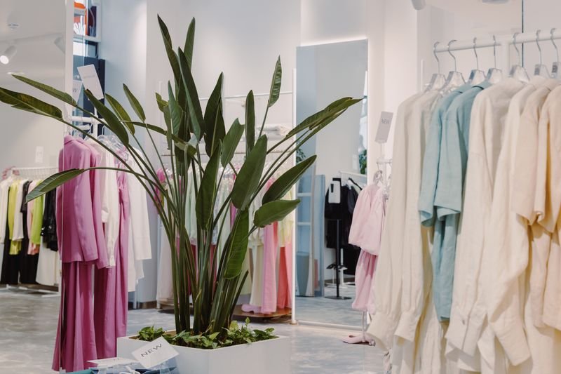 Boutique fashion display, representing SIFAR wearable art clothing case study